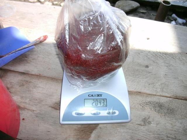 pregatiri - gedc0287.JPG